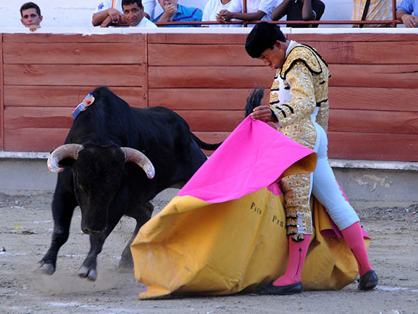 Paco Perlaza a la vernica