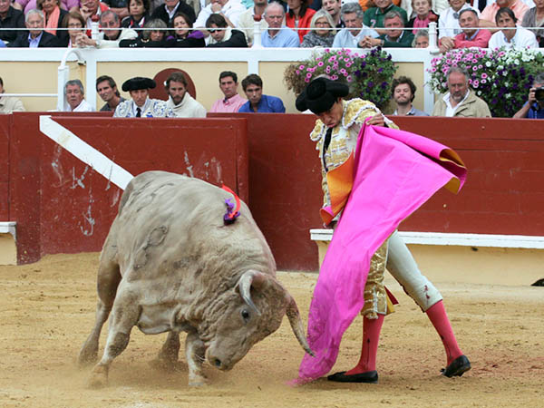 Sergio, matador de toros