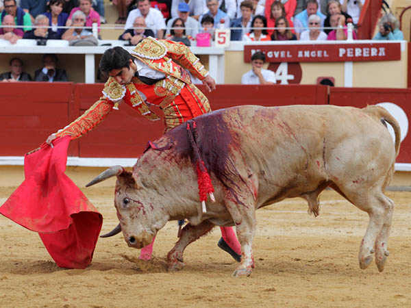 Fijo en el engao