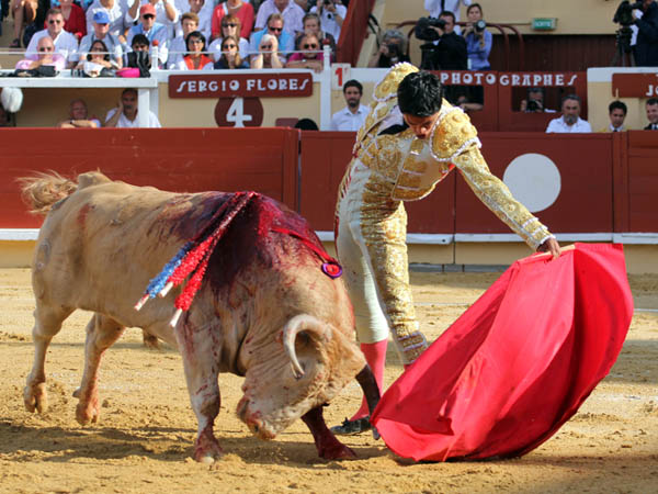 Tirando del ejemplar