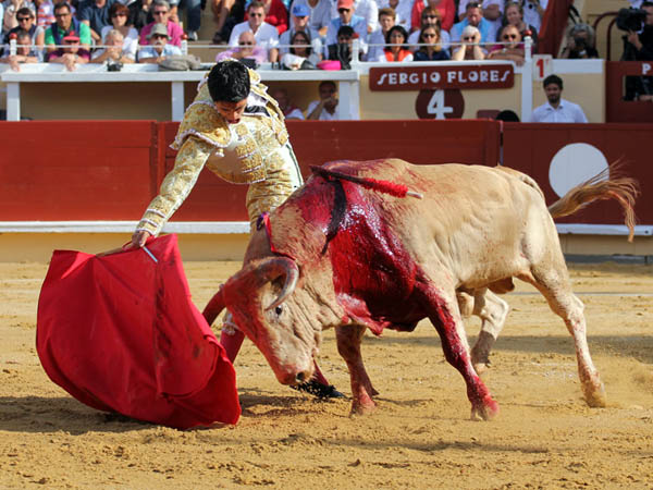 Ungido de matador