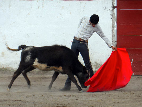 Sergio Flores, tienta en Vicencio