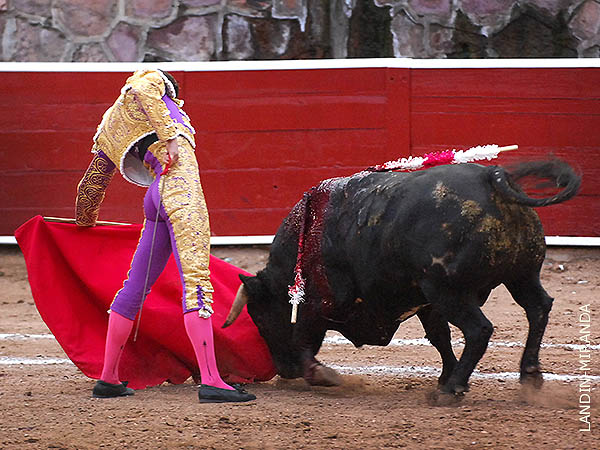 El pblico le celebre en grande