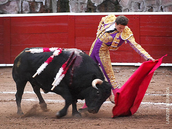 Un toro bajo y bonito