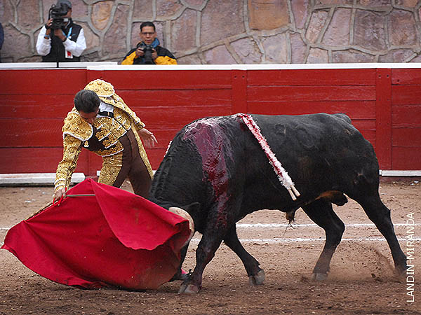 Conocedor del toro mexicano