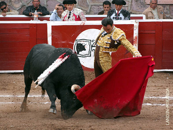 Meti en vereda al de Marrn