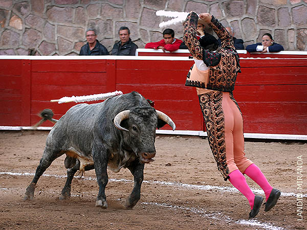 Fernando en rehiletes