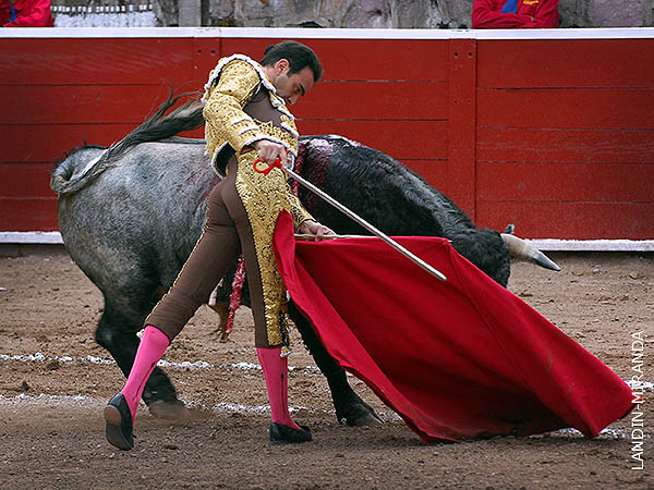 Ejecut detalles de calidad