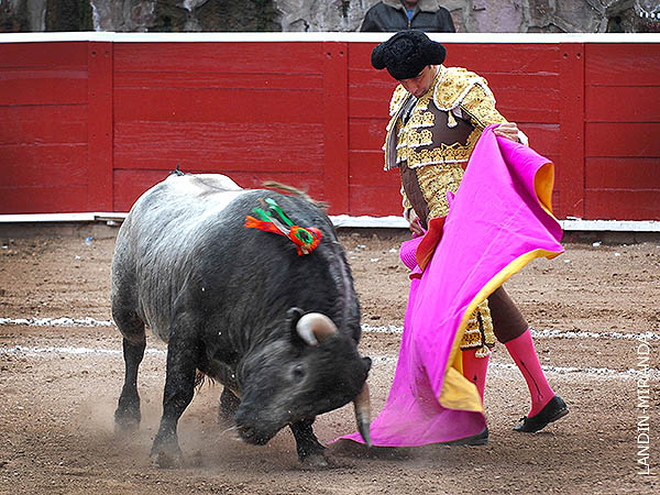 Ponce se abre de capa