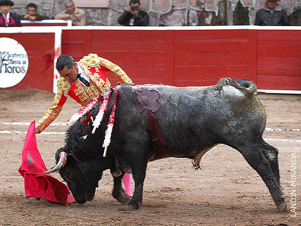 Ganas de agradar al pblico