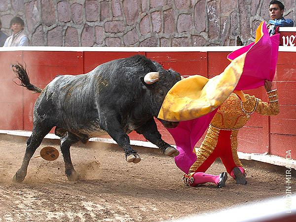 Lalo abre el festejo