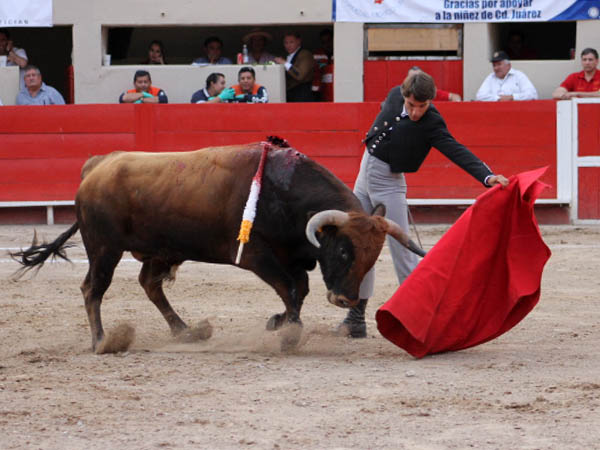 Emocion el toreo de Barba