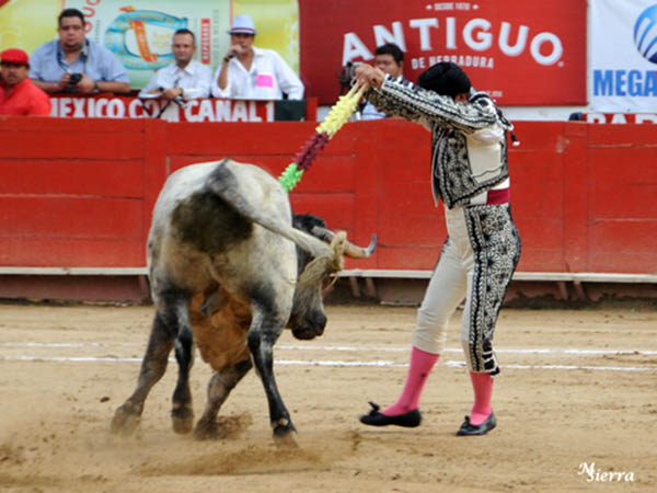 Banderillas de Fuerte