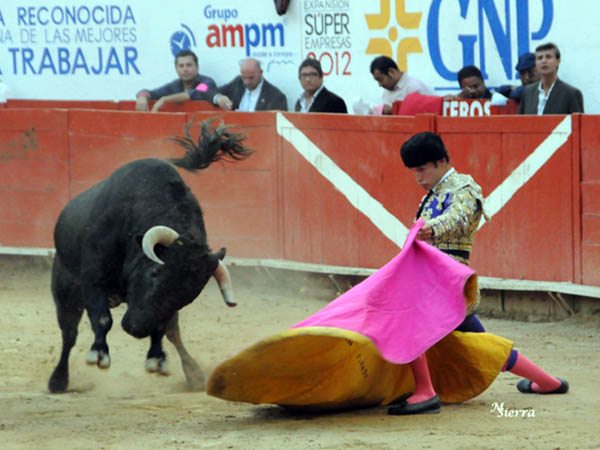 Recibo rodilla en tierra