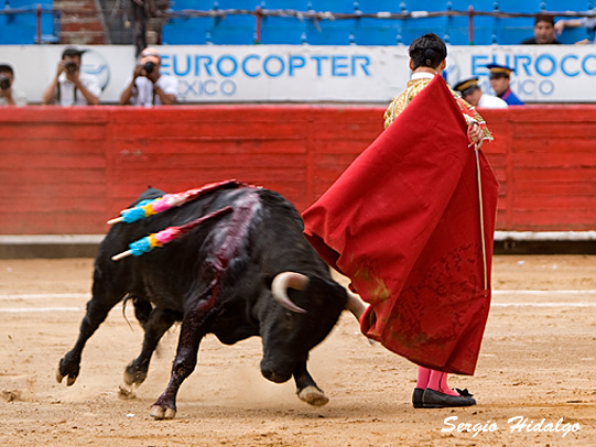 Aguantando la embestida