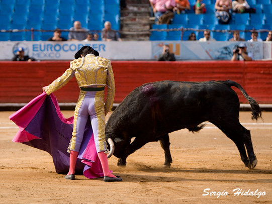 Espectaculares Vernicas