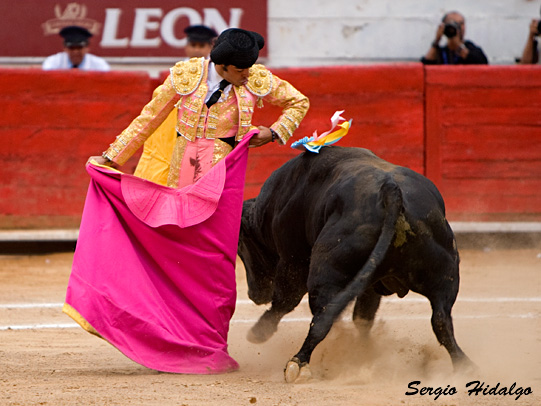 Ajustadas chicuelinas