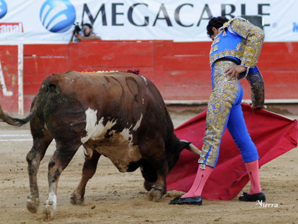 Lastimado de la pata izquierda