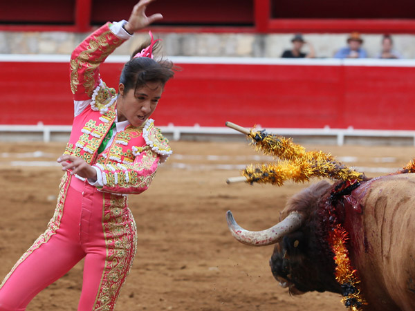 Se anim a colocar banderillas