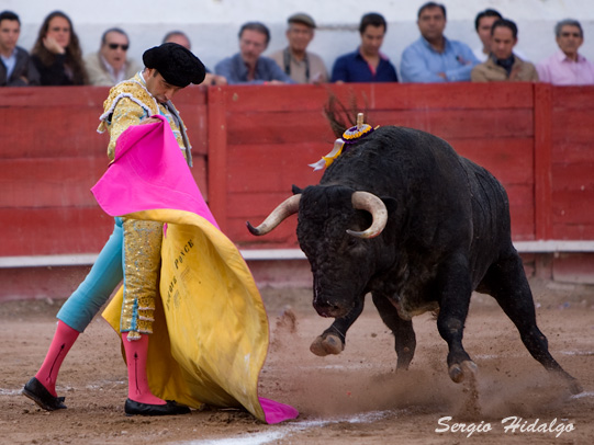 Enrique Ponce con el capote