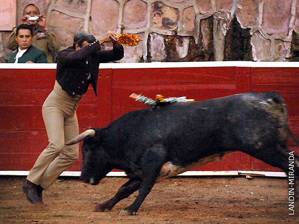 3 Pares de cortas en el morrillo