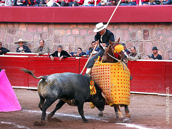 La vara de Curro Campos