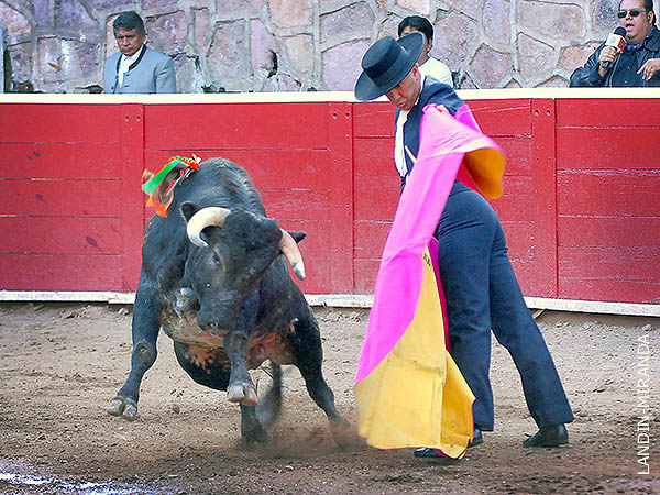 Saludo capotero de Arruza