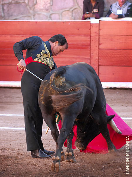 Cerquita del toro