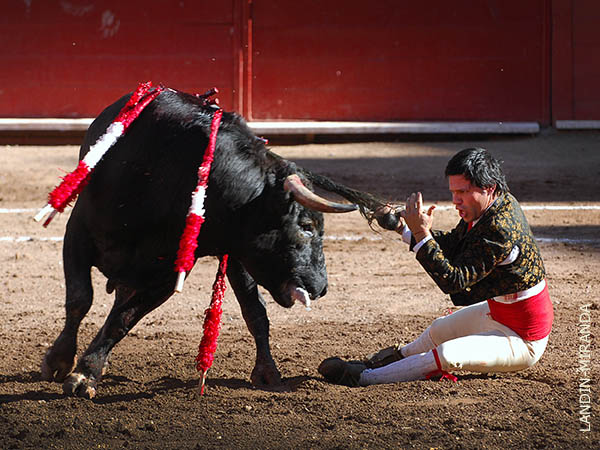 El rabillado de Ren