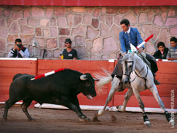 La carrera de costado