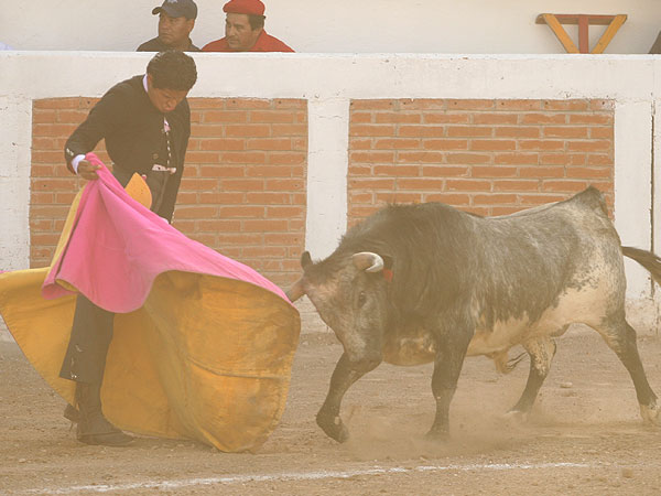 Angelino de Arriaga