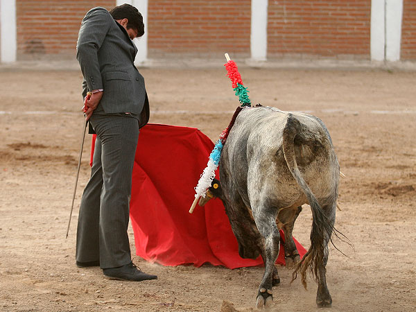 Calidad en la embestida