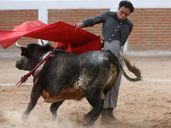 Abrochando la faena