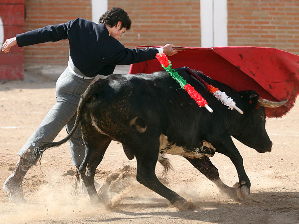 Pasndose todo el toro