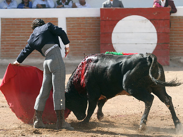 Faena de torero maduro