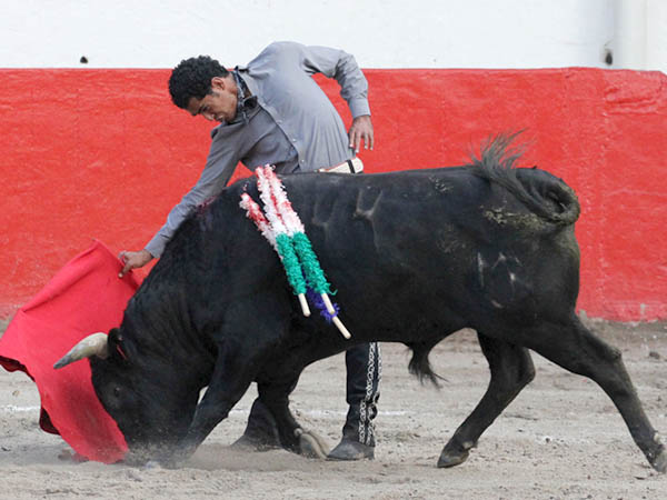 Sentidas tandas por el derecho