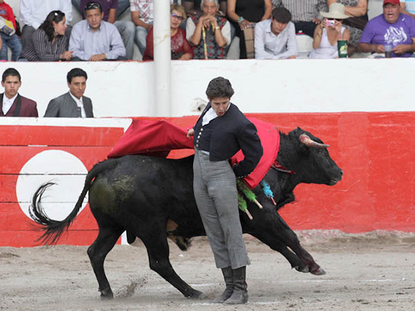 Adornos finales