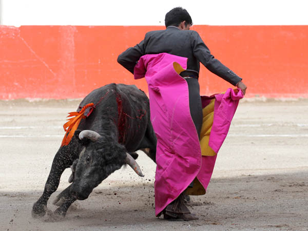 Rafa Ortega, primer espada