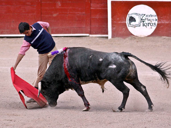 Arroyo, en la mira del chaval