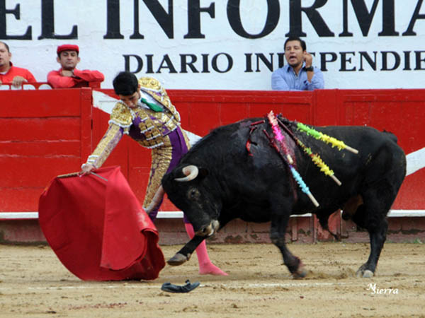 Zapatilla en la arena