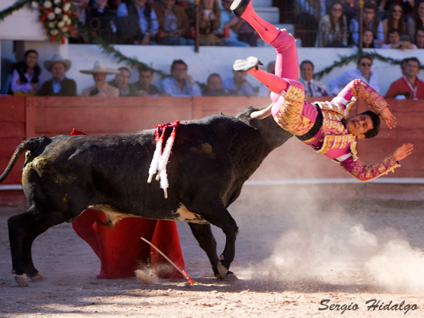 Giro en las astas del toro