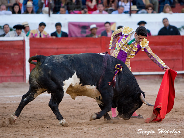 Templando la embestida