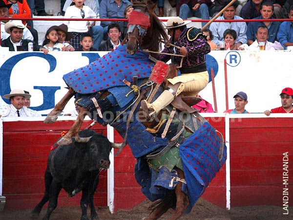 David Vzquez, picador de toros