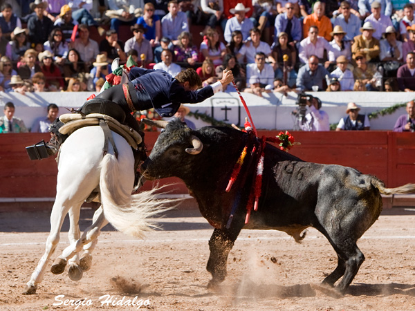 Dejandose llegar al toro