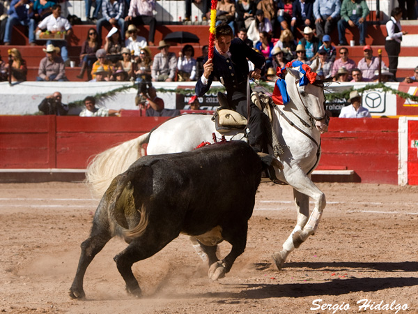 Caballo torero