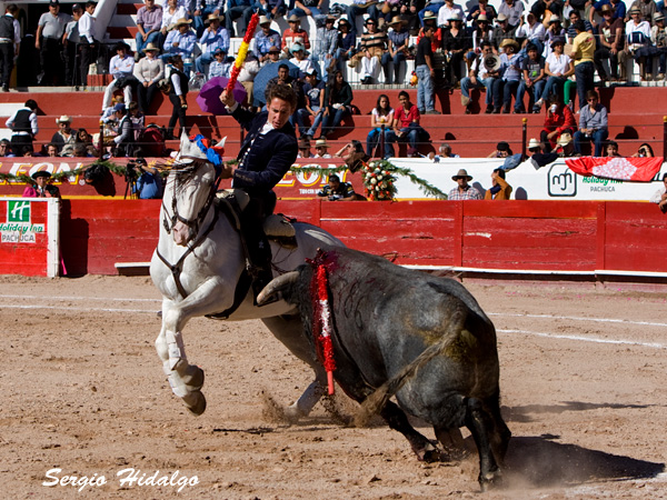 Quitandose la cornada