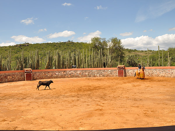 Mexicansimo tentadero