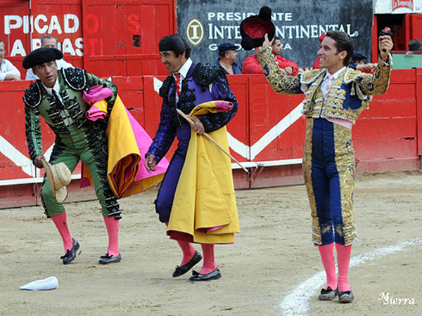 Barba cort la nica oreja