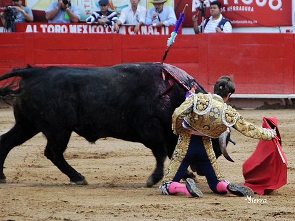 Le puso empaque y torera