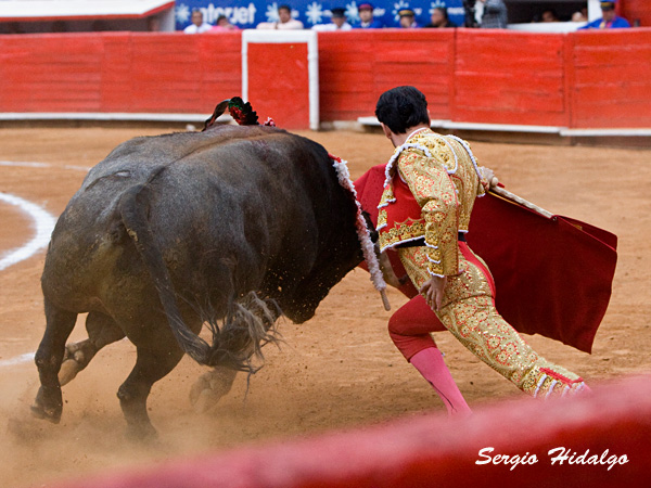 Dobln pegado a tablas